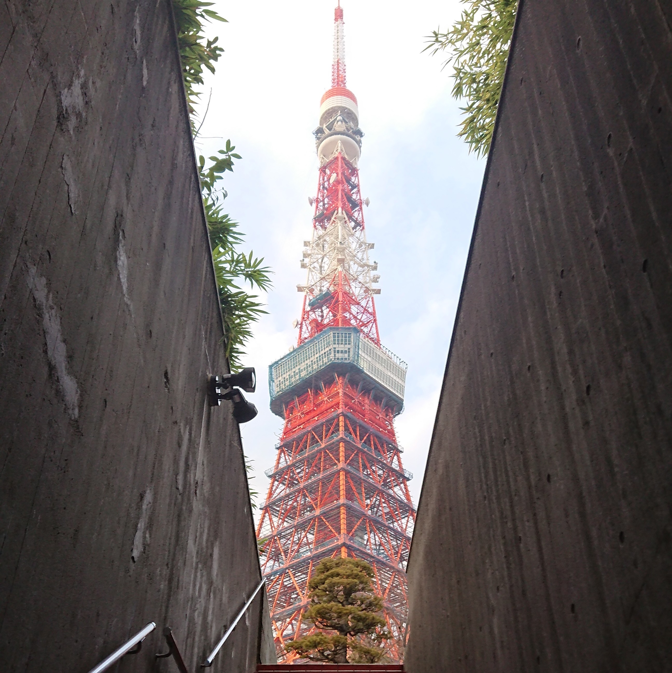 東京タワー